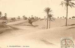 colomb bechar  (24)